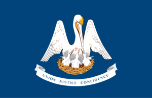 Louisiana Traffic School