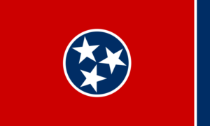 Tennessee Traffic School